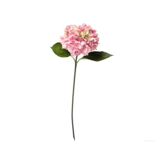 假花 永生花 造型髮圈 髮飾 髮圈 髮帶  黑色 向日葵 飾品 頭飾 歷史價格詳細信息