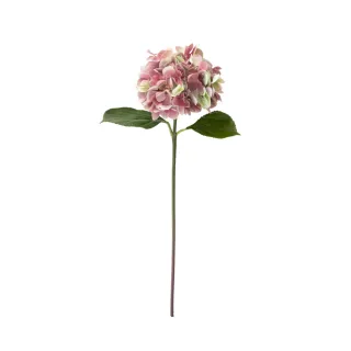 假花 永生花 造型髮圈 髮飾 髮圈 髮帶  黑色 向日葵 飾品 頭飾 歷史價格詳細信息