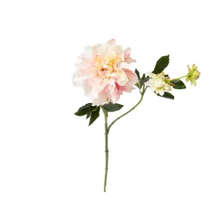 假花 永生花 造型髮圈 髮飾 髮圈 髮帶  黑色 向日葵 飾品 頭飾 歷史價格詳細信息