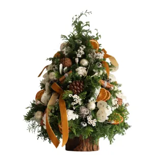 【花意空間】LED 弧型 │蕨醒生態瓶(植栽 淨化空氣 開幕送禮) 歷史價格詳細信息