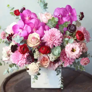 野趣盆栽(珍藏版) 林國承 2014-7-1 福建科技   露天市集 歷史價格詳細信息