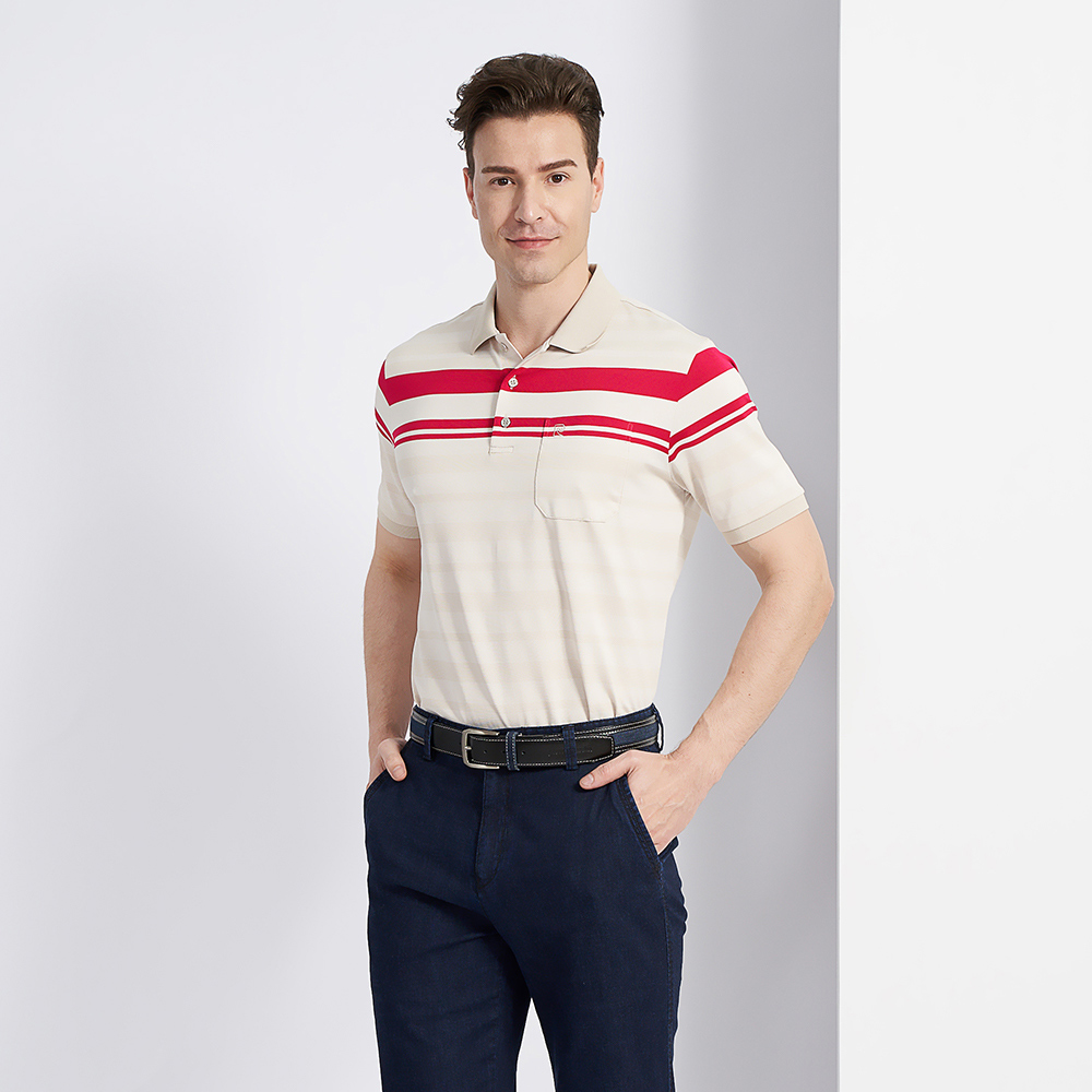 【pierre cardin 皮爾卡登】男款 定位橫條短袖POLO衫-深藍色 (5237264-38) 歷史價格詳細信息