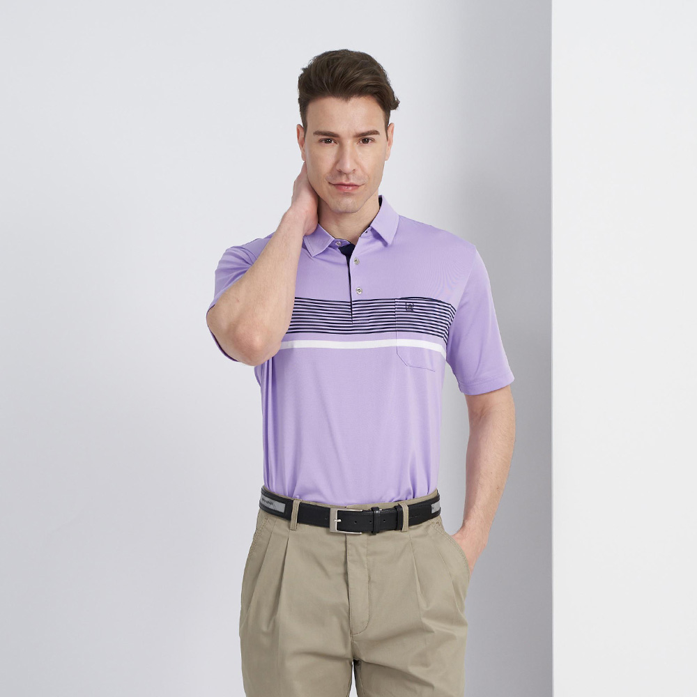 【pierre cardin 皮爾卡登】男款 定位橫條短袖POLO衫-深藍色 (5237264-38) 歷史價格詳細信息