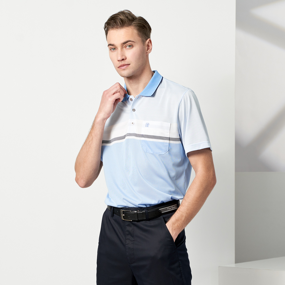 【pierre cardin 皮爾卡登】男款 TOP定位橫條短袖POLO衫-紫色 (5237293-25) 歷史價格詳細信息