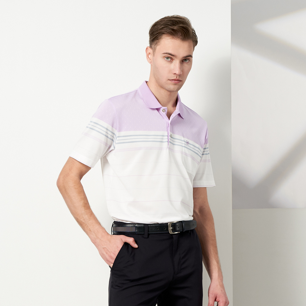 【pierre cardin 皮爾卡登】男款 TOP定位橫條短袖POLO衫-紫色 (5237293-25) 歷史價格詳細信息