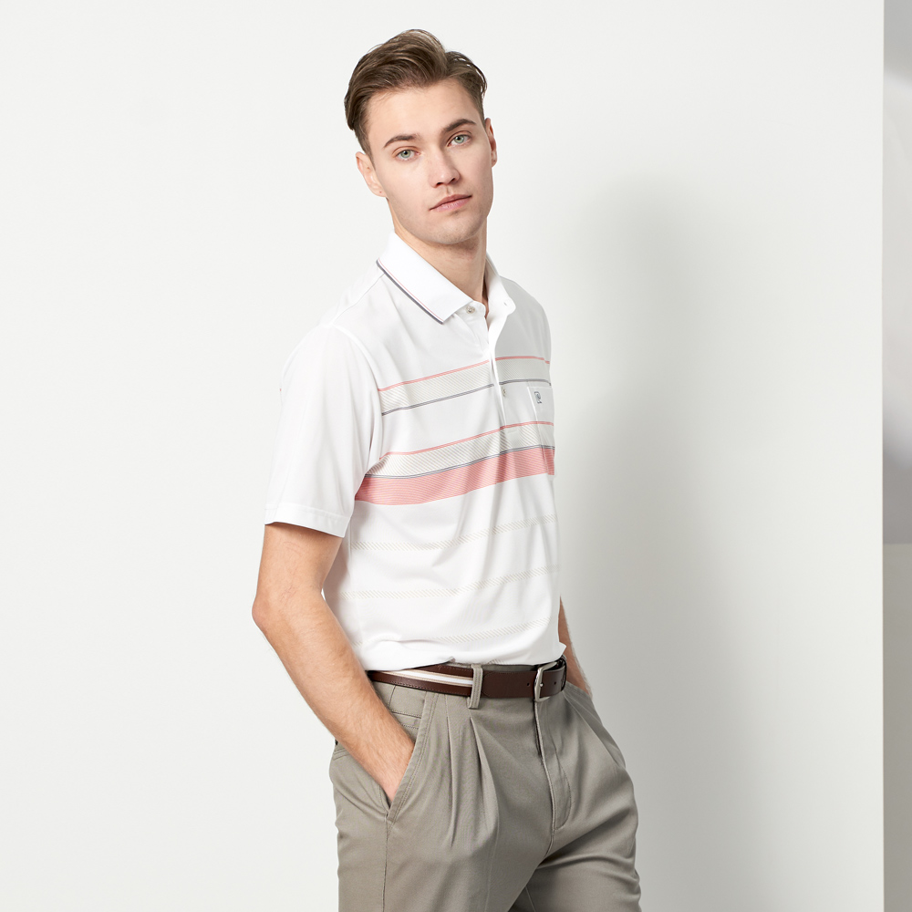 【pierre cardin 皮爾卡登】男款 TOP定位橫條短袖POLO衫-紫色 (5237293-25) 歷史價格詳細信息