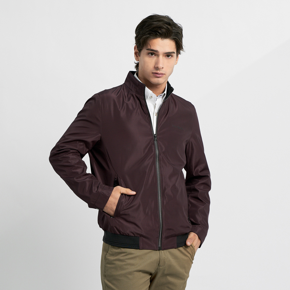 【pierre cardin 皮爾卡登】男款 防風立領壓細格紋保暖休閒背心-暗紅色 (5225361-78) 歷史價格詳細信息