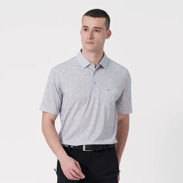 【pierre cardin 皮爾卡登】網路獨家 男款 吸濕排汗簡約條紋商務短袖POLO衫-白色(7237267-90) 歷史價格詳細信息