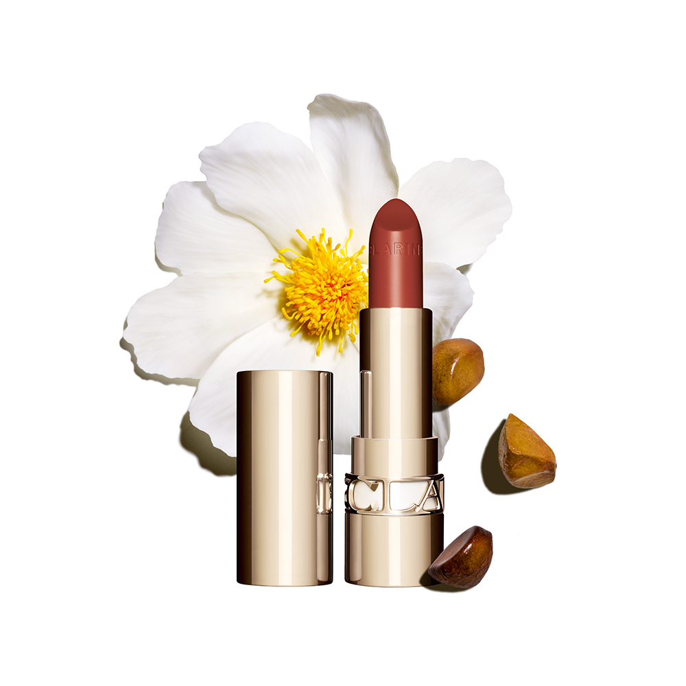CLARINS 克蘭詩 絲緞鉑金化妝包(18x7x15cm)【美麗購】 歷史價格詳細信息