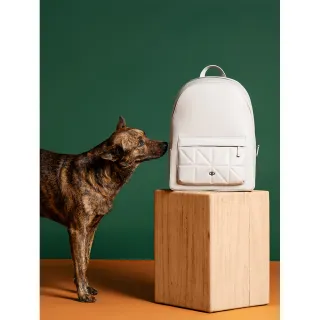 幾何 電傘吊燈 特殊 淺芥末色  . 徑約 18 含布線長約 97 . 有複數可選購 歷史價格詳細信息