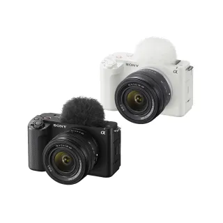 SONY/索尼Alpha 6400 a6400 A6100微單相機NP-FW50鋰電池+充電器 歷史價格詳細信息