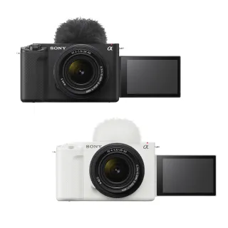 SONY/索尼Alpha 6400 a6400 A6100微單相機NP-FW50鋰電池+充電器 歷史價格詳細信息