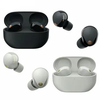 【SONY 索尼】WF-1000XM5 旗艦真無線藍牙耳機 (台灣公司貨保固12+6) 歷史價格詳細信息