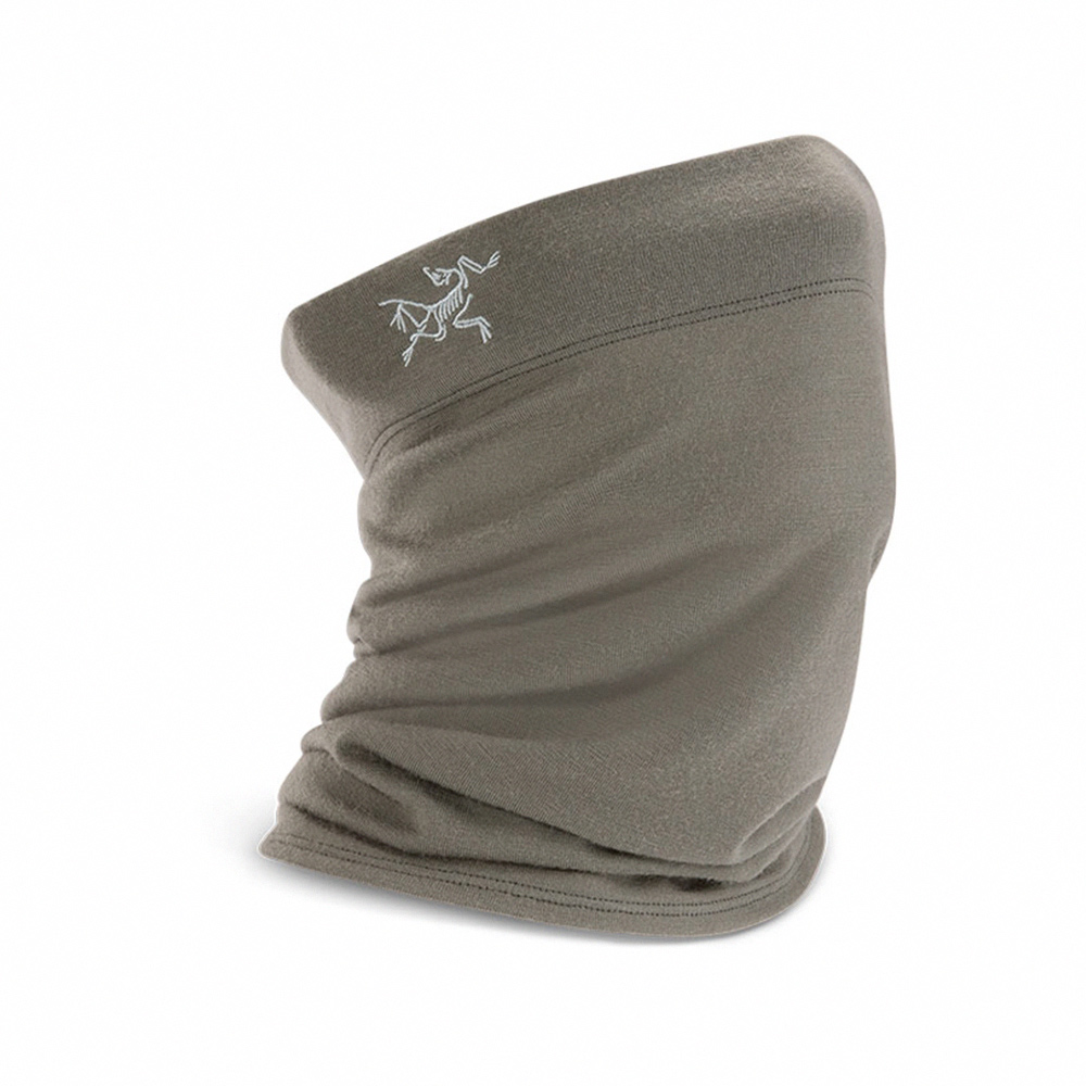 Arcteryx 始祖鳥 Rho Heavyweight 男款 保暖刷毛套頭衫 29870/X000006266 歷史價格詳細信息