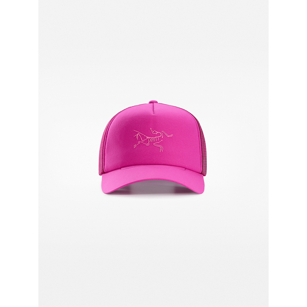 【Arcteryx 始祖鳥】LOGO 棒球帽(帆布棕) 歷史價格詳細信息