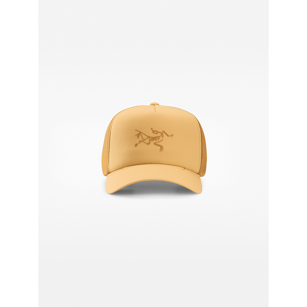【Arcteryx 始祖鳥】LOGO 棒球帽(帆布棕) 歷史價格詳細信息