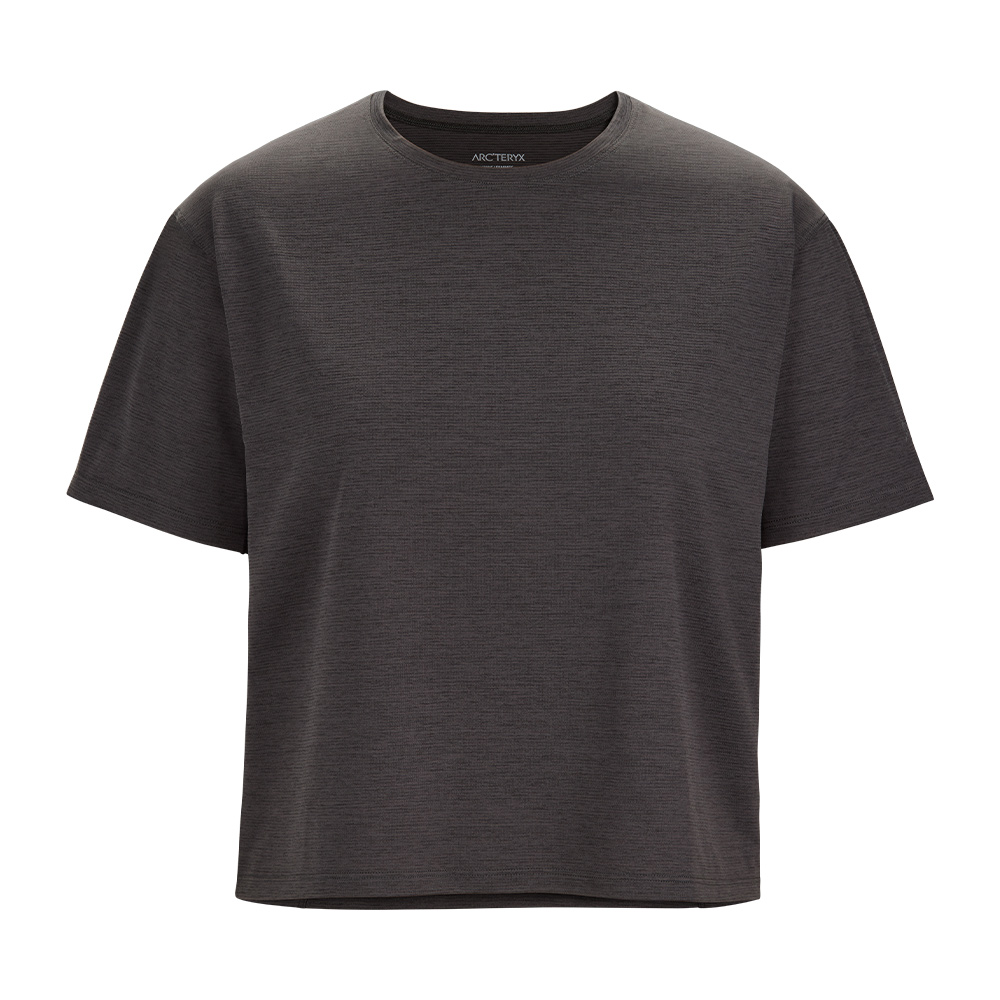 【ARCTERYX 始祖鳥】女 Skeletile 輕量透氣快乾短袖圓領排汗衣0.100%有機棉/29866 沙漠雜粉/陶醉棕 歷史價格詳細信息