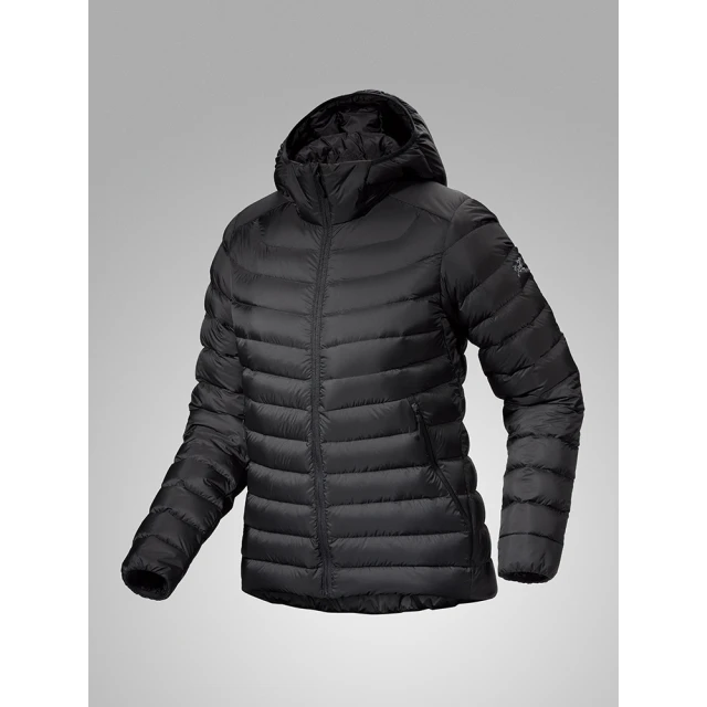【Arcteryx 始祖鳥官方直營】女 Bird 短袖休閒Tee(糧草綠) 歷史價格詳細信息