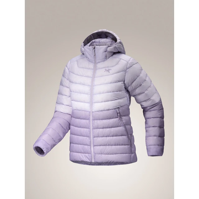 【Arcteryx 始祖鳥官方直營】女 Bird 短袖休閒Tee(糧草綠) 歷史價格詳細信息