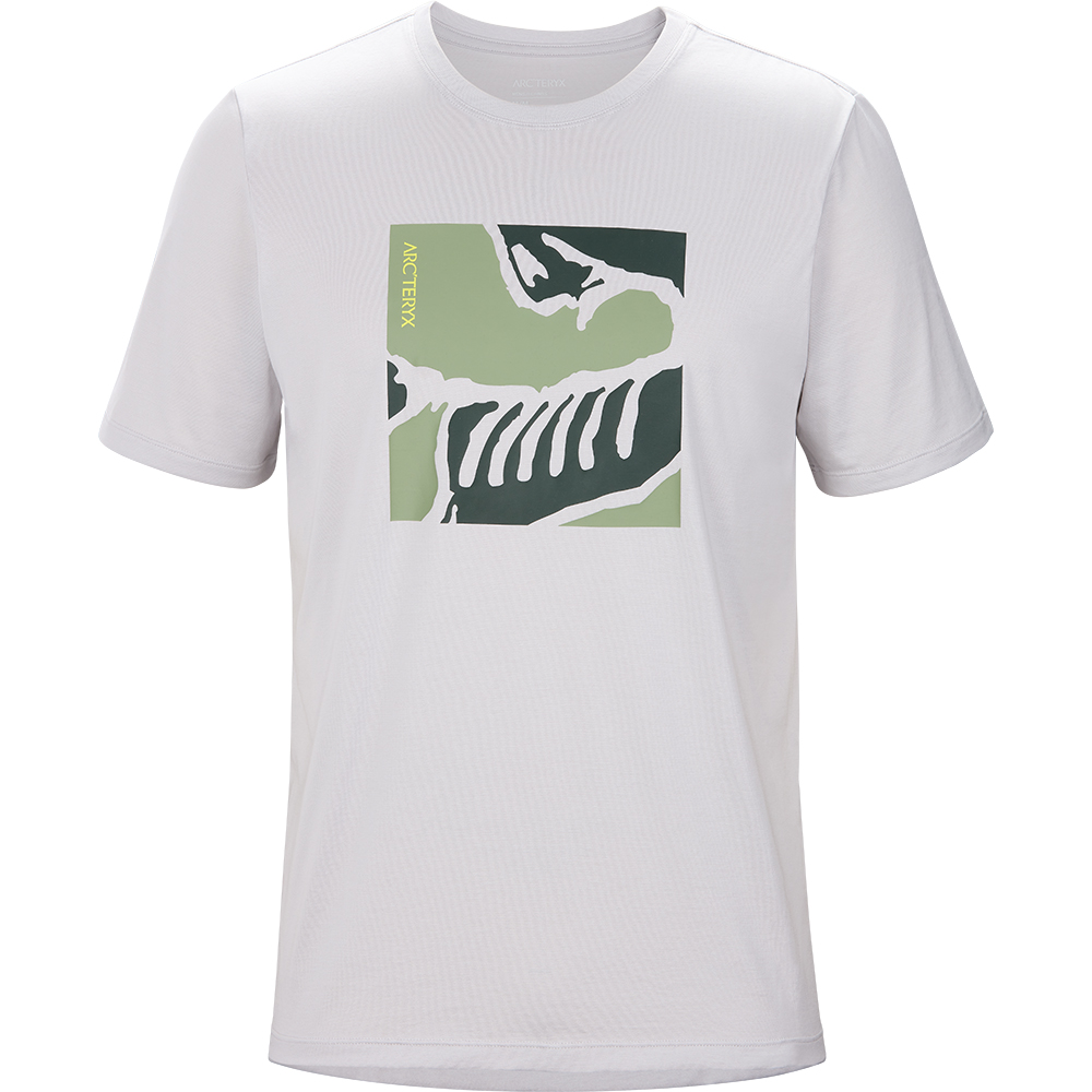 Arcteryx 始祖鳥 短袖Polo衫 男款 Captive Polo 14450 歷史價格詳細信息