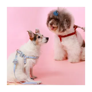 千寵世家狗狗牽引繩p鏈狗項圈一體式p繩牽狗繩防爆沖小型遛狗繩 歷史價格詳細信息