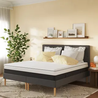 【德國Emma】6公分雙面睡薄床墊 單人加大+Original 記憶單顆枕套組(德國工藝 專為台灣潮濕悶熱環境設計) 歷史價格詳細信息