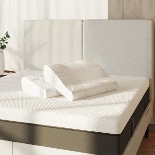 買一送一 人體工學設計 靠背 減壓 坐墊 靠墊 腰椎 辦公記憶棉 歷史價格詳細信息