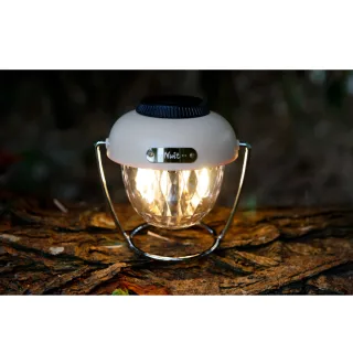 LED七彩營繩燈 LED燈 青蛙燈 照明燈 警示燈 單車燈 燈【買10送網袋】露營 歷史價格詳細信息