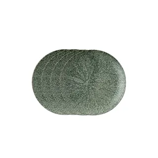 【Arthur Krupp】NATURE/圓盤/靛藍/27.5cm(現代餐桌新藝境) 歷史價格詳細信息
