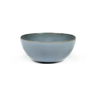 D13.寒天大蔥種子0.88克(約400顆) 歷史價格詳細信息