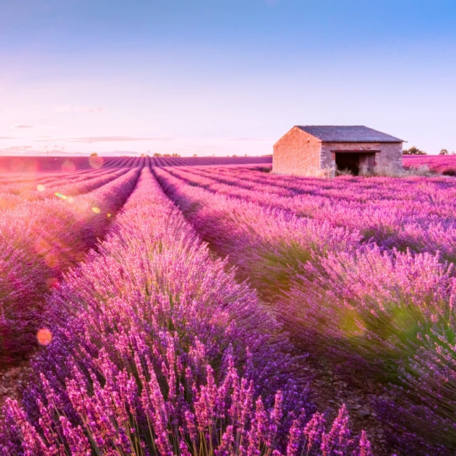 南賽閣珠寶真天然正品特級朱砂手串高純度紅紫金砂手鏈男女款手鐲 歷史價格詳細信息