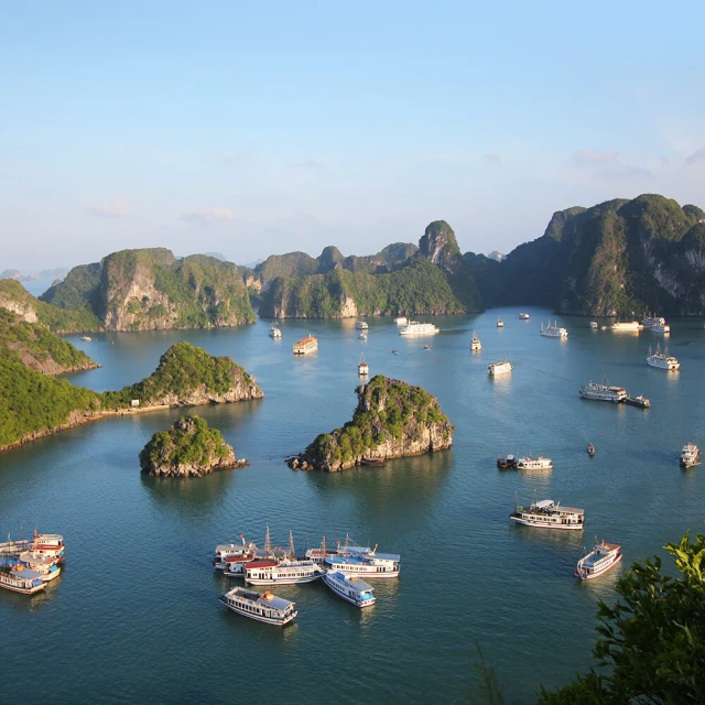 雙魚鴻雁傳書錢品如圖所示，有緣的來，按圖發貨看好下單不 古幣 古錢 銅錢 -757 歷史價格詳細信息