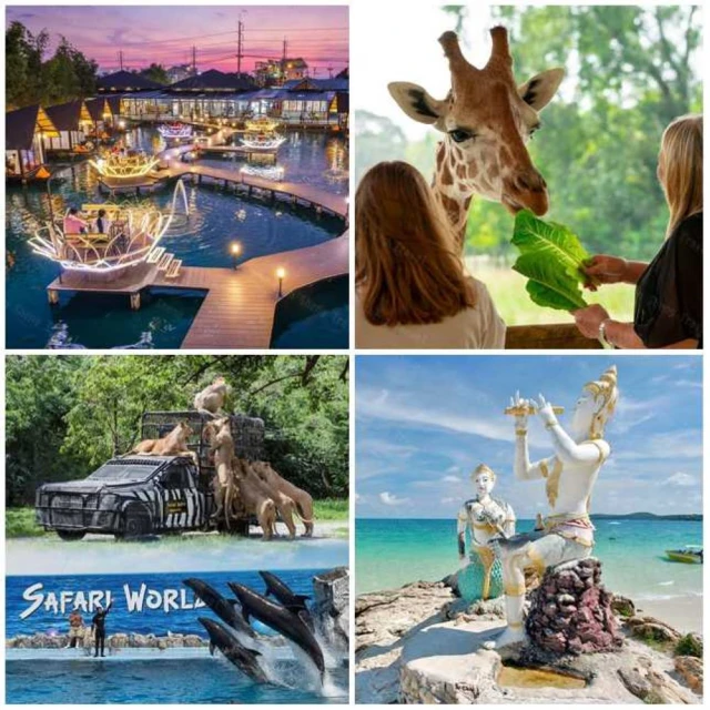 浪漫煙火.全臺最低二折起.平溪天燈.煙火批發.尺炮.烽炮.爆竹.愛心煙火.鞭炮.煙火秀 歷史價格詳細信息