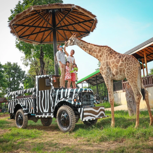 【萬物園】恐龍玩具電動仿真動物充電會叫的霸王龍會走路會動侏羅紀模型 歷史價格詳細信息