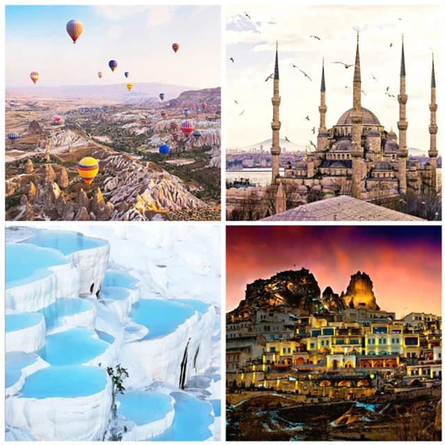 全新日影《蕃茄先生的心靈之旅》DVD 大地康雄 Alice Dixson 富田靖子 村田雄浩 織本順吉 歷史價格詳細信息