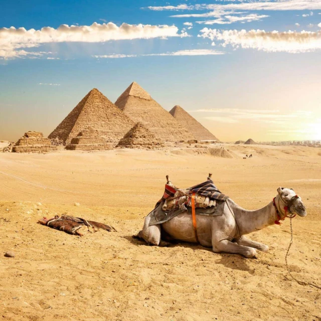 紅河地埋式箱泵一體化 箱泵一體化泵站 箱泵一體化 歷史價格詳細信息