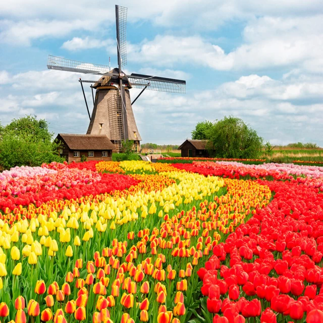 【喜鴻假期】【全覽小東歐奧克斯斯匈１２日】十六湖、地下溶洞、三遊船、城堡纜車、漁人堡、熊布朗宮 歷史價格詳細信息