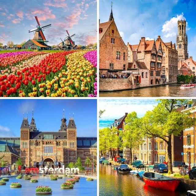 《慕尼黑森林》ISBN:9574678377│安吉．瑪利亞．森克 歷史價格詳細信息