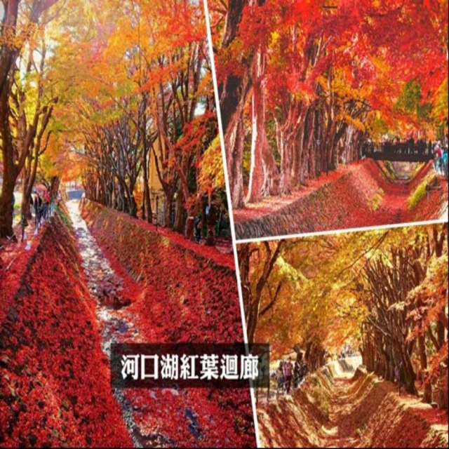 【越南東家】冷凍羊肉爐任選4盒(藥膳1000g/紅燒1100g/盒) 歷史價格詳細信息