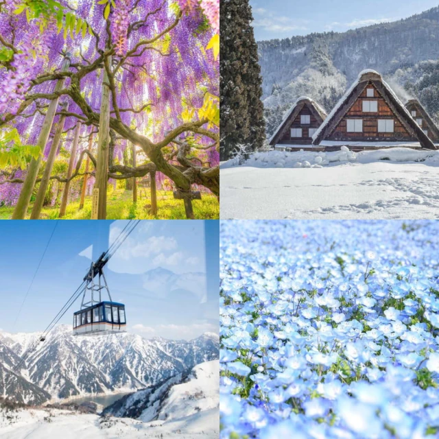 河岸櫻花 950-013 950片拼圖 歷史價格詳細信息