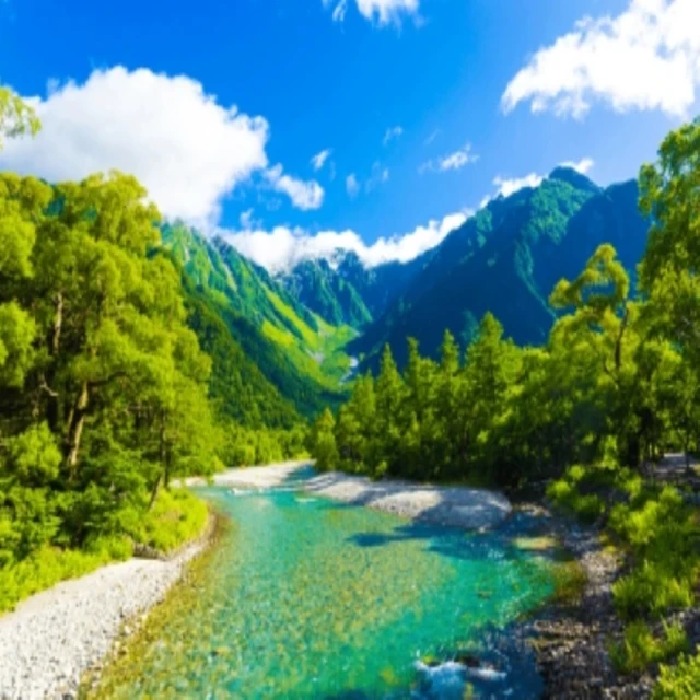 小資首選【BuyYa】全新專櫃體驗 迪奧 Dior 護唇雙天后四色試用卡 0.4g 原廠公司貨 歷史價格詳細信息