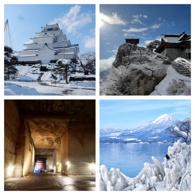 【美食村】北海道冰心蛋糕-原味牛奶(８入)X4盒 歷史價格詳細信息