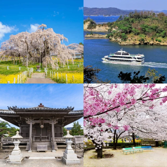【吉航旅遊】花戀香風格旅人舒適三排椅大巴繽紛花季漁島月灣碗粿意麵香五星香格里拉一泊三食二日 歷史價格詳細信息
