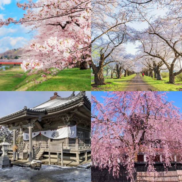 湖北大北長雲下視龍十文，深打三全帶光27452 歷史價格詳細信息