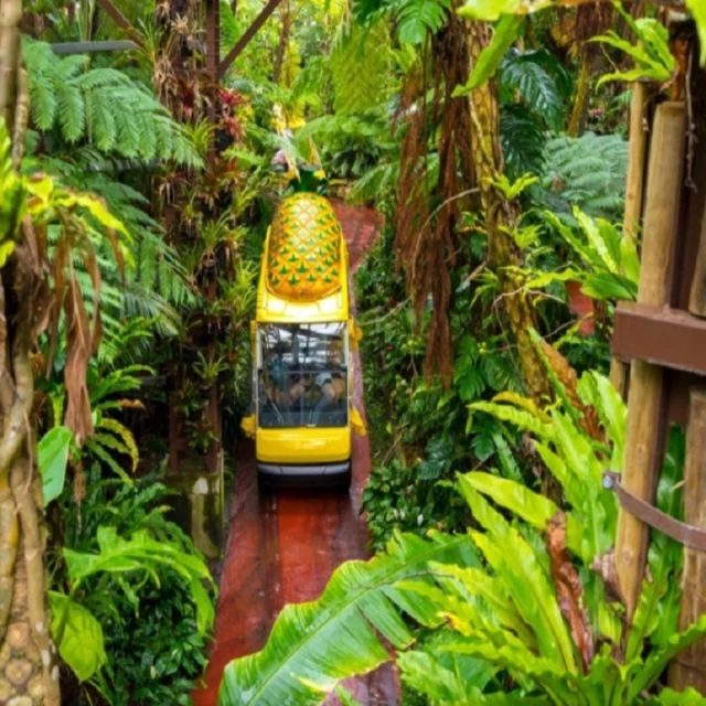 【宇利攝影器材】 ONPRO UV-V1 Pro 二代無線吸塵器 HEPA 12級 濾芯可水洗 公司貨 歷史價格詳細信息