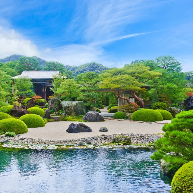 山陰縣右玉縣應縣新中式禪意茶室吊燈手工編織竹藤燈籠裝飾竹藝燈 歷史價格詳細信息