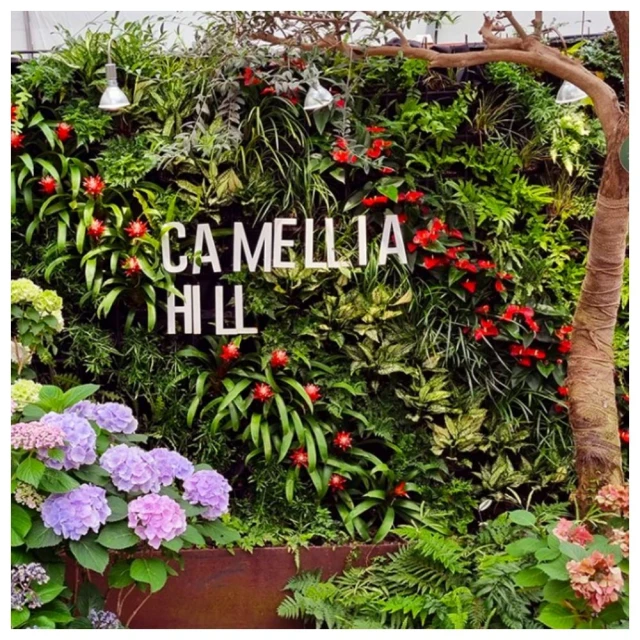 怡遊桌遊我是大i'm the boss中文版休閒聚會卡牌桌面聚會遊戲 歷史價格詳細信息