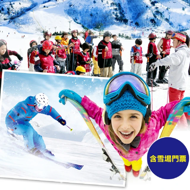 伊登護腳踝綁帶運動籃球男護踝固定女腳腕扭傷綁帶防護腳踝保護帶 歷史價格詳細信息