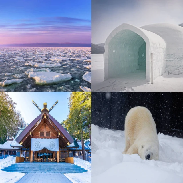 五彩星空遊泳圈加厚成人救生圈大人兒童腋下圈男女亮片泳圈浮圈 歷史價格詳細信息