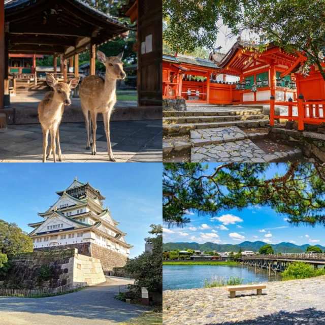 五彩星空遊泳圈加厚成人救生圈大人兒童腋下圈男女亮片泳圈浮圈 歷史價格詳細信息